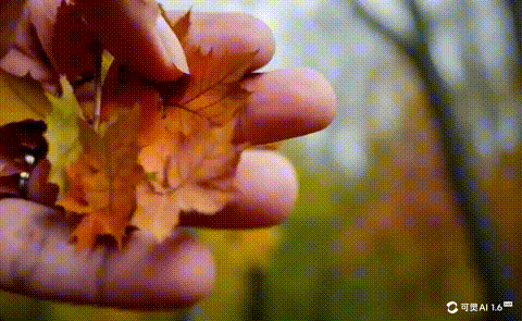 assets/video1.gif