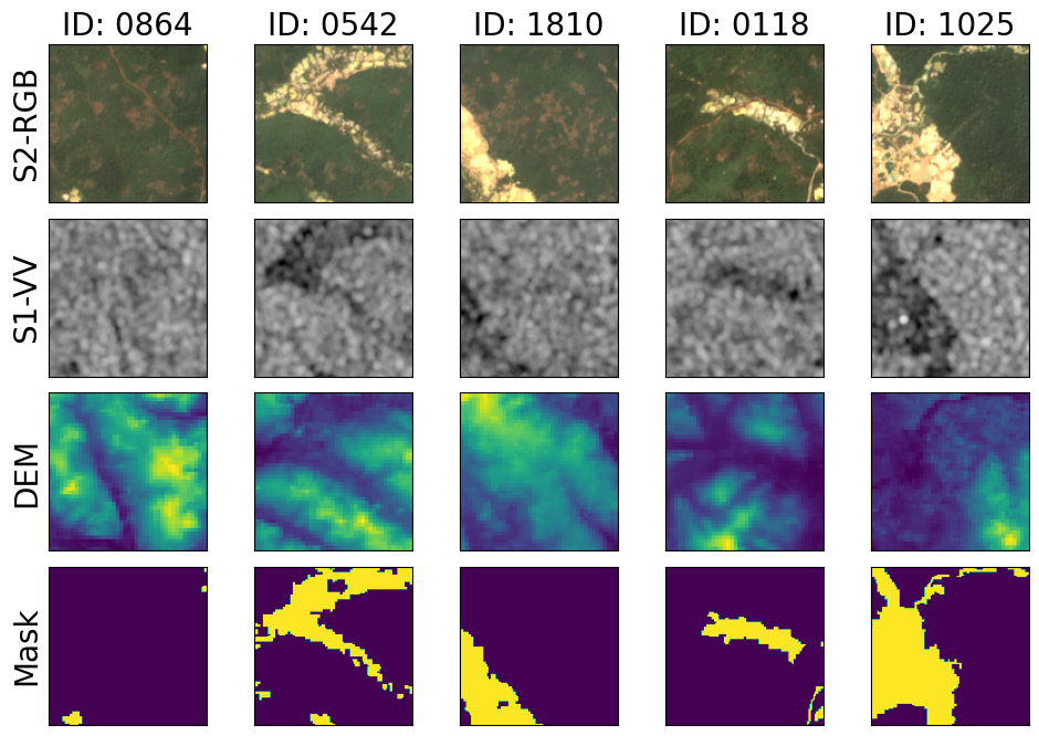 sample images